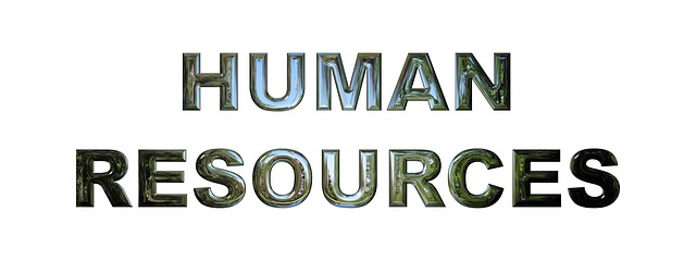 lidské zdroje